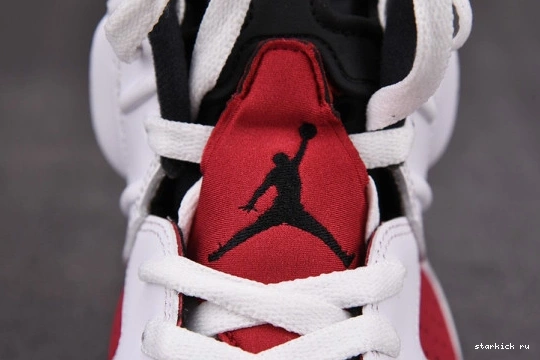 Carmine (2021) CT8529-106 6 CT8529-106 Air Jordan Retro 0807